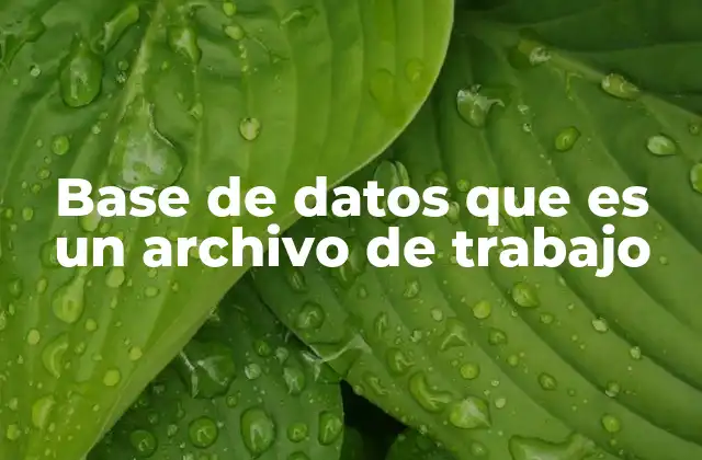 Cómo se relacionan las bases de datos con los archivos de trabajo en sistemas informáticos