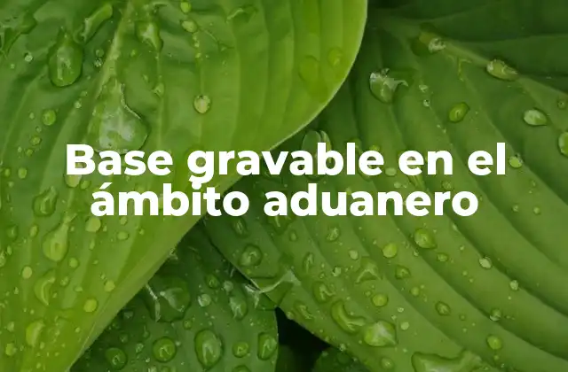 Cómo se calcula la base gravable en importaciones
