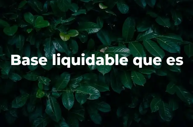 Base Liquidable que es