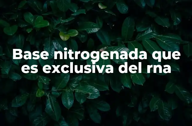 Base Nitrogenada que es Exclusiva Del Rna