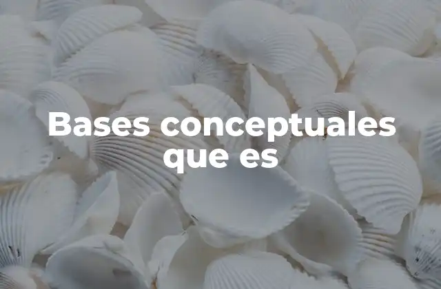 Bases Conceptuales que es