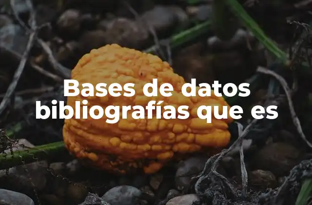 El papel de las bases bibliográficas en la investigación científica