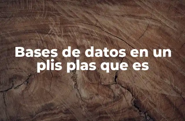 Bases de Datos en un Plis Plas que es