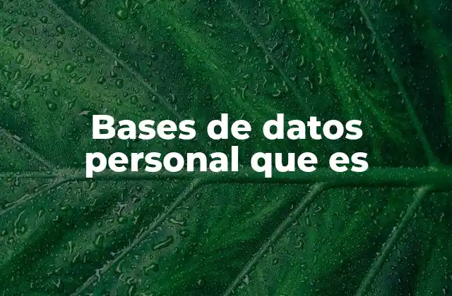 Bases de Datos Personal que es