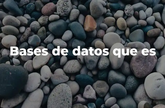 Bases de Datos que es