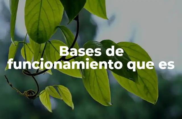 La importancia de las bases en el diseño de sistemas