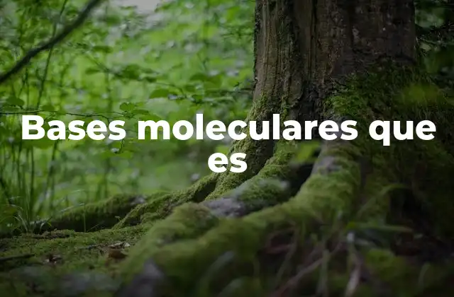 Bases Moleculares que es 2 La importancia de las bases moleculares en la estructura del ADN