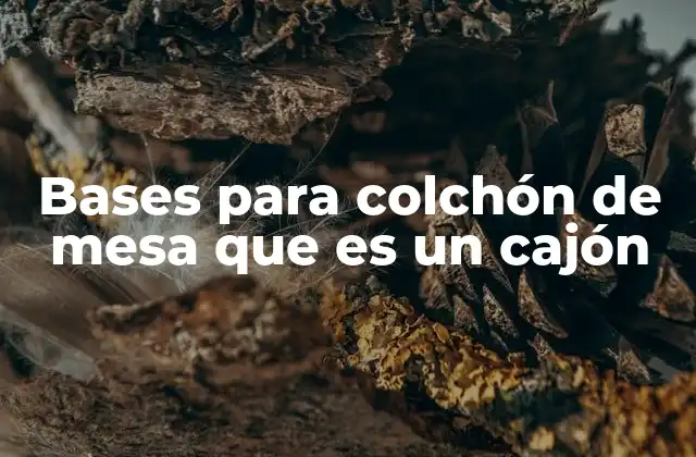 Bases para Colchón de Mesa que es un Cajón