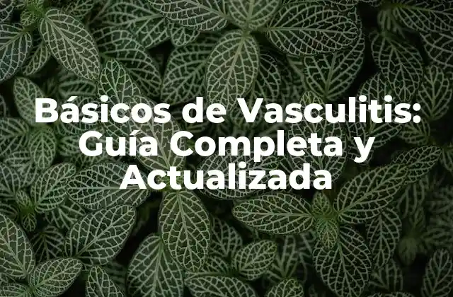 Básicos de Vasculitis: Guía Completa y Actualizada
