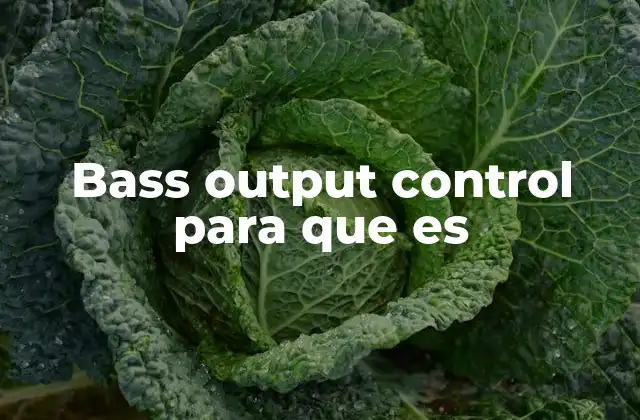 Bass Output Control para que es 2 La importancia del control de graves en la configuración de sonido