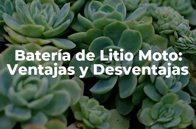 Batería de Litio Moto: Ventajas y Desventajas