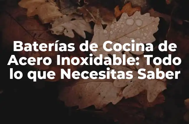 Baterías de Cocina de Acero Inoxidable: Todo Lo que Necesitas Saber