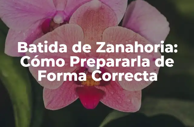 Batida de Zanahoria: Cómo Prepararla de Forma Correcta 2 ¿Por qué la Batida de Zanahoria es Importante en la Cocina?