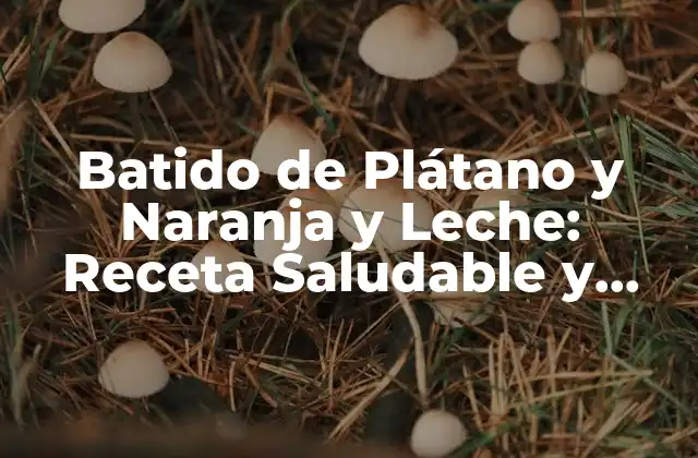 Batido de Plátano y Naranja y Leche: Receta Saludable y Deliciosa