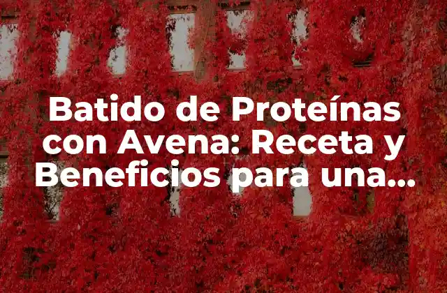 Batido de Proteínas con Avena: Receta y Beneficios para una Alimentación Saludable