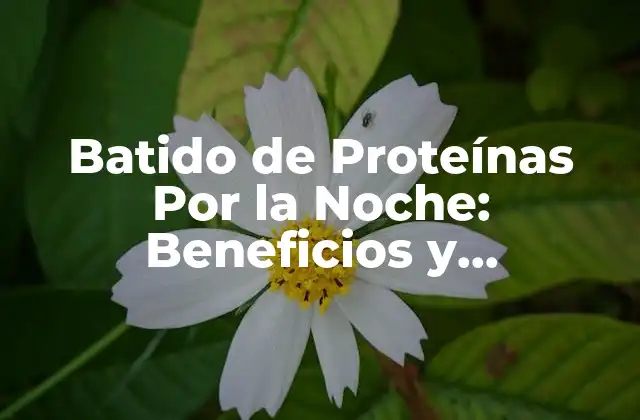 Batido de Proteínas por la Noche: Beneficios y Contraindicaciones 2 ¿Por qué Consumir Batidos de Proteínas por la Noche?