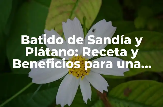 Batido de Sandía y Plátano: Receta y Beneficios para una Salud Optima