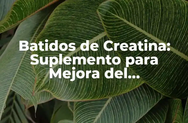 Batidos de Creatina: Suplemento para Mejora Del Rendimiento Físico