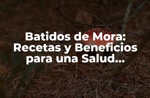 ¿Cuáles son los Beneficios de los Batidos de Mora?