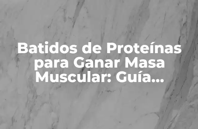 ¿Qué son los Batidos de Proteínas?