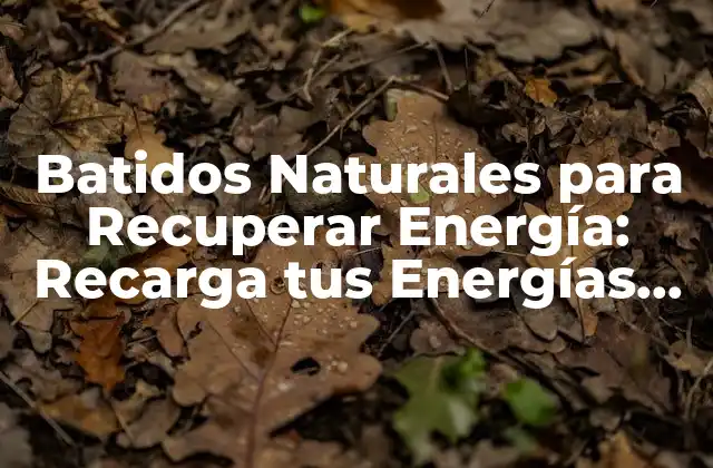 Batidos Naturales para Recuperar Energía: Recarga Tus Energías de Forma Saludable