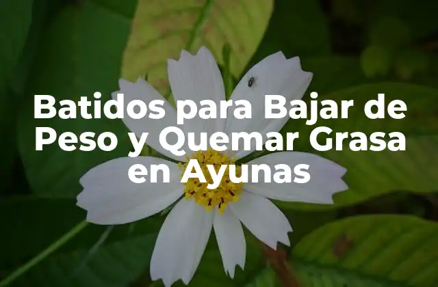 Batidos para Bajar de Peso y Quemar Grasa en Ayunas