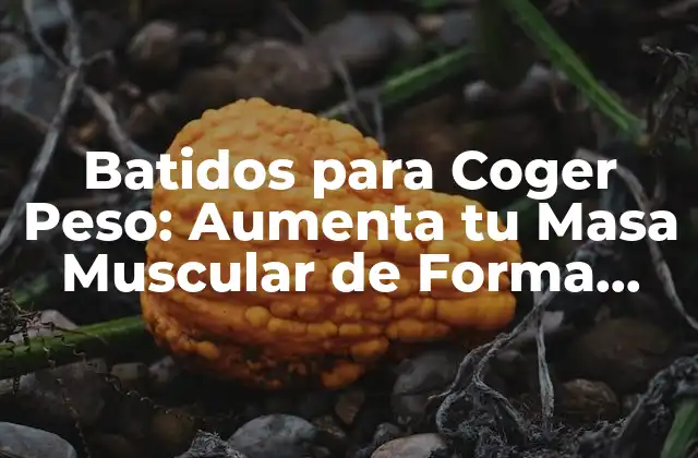 Batidos para Coger Peso: Aumenta Tu Masa Muscular de Forma Saludable