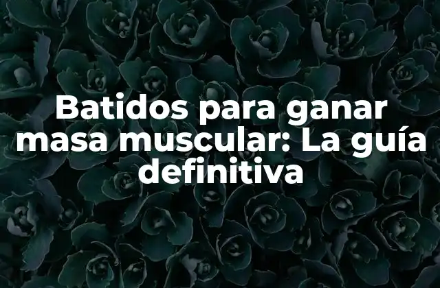 Batidos para Ganar Masa Muscular: la Guía Definitiva