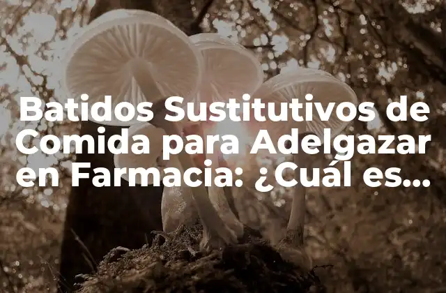 Batidos Sustitutivos de Comida para Adelgazar en Farmacia: ¿cuál es la Mejor Opción?