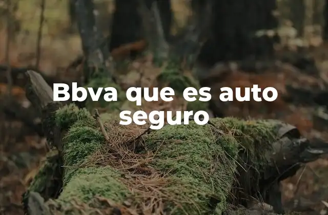 Bbva que es Auto Seguro