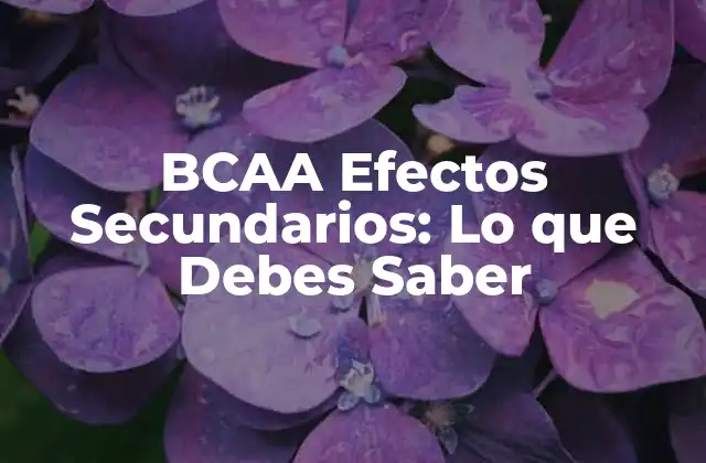 ¿Qué son los BCAA y cómo funcionan?