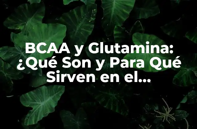 Bcaa y Glutamina: ¿qué Son y para Qué Sirven en el Entrenamiento Físico?