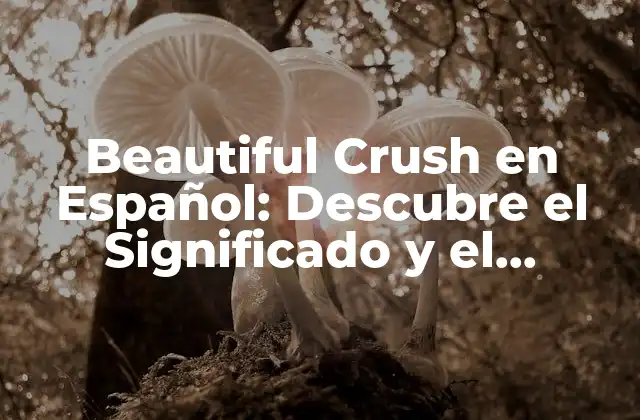 Beautiful Crush en Español: Descubre el Significado y el Impacto de Este Fenómeno