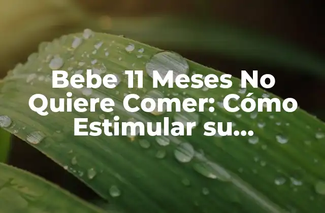 Bebe 11 Meses No Quiere Comer: Cómo Estimular Su Aprendizaje y Nutrición