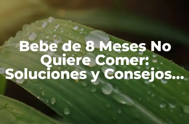 Bebe de 8 Meses No Quiere Comer: Soluciones y Consejos para Padres Preocupados