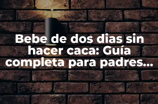 Bebe de Dos Dias sin Hacer Caca: Guía Completa para Padres Preocupados