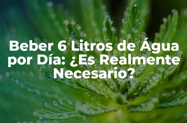 Beber 6 Litros de Água por Día: ¿es Realmente Necesario?