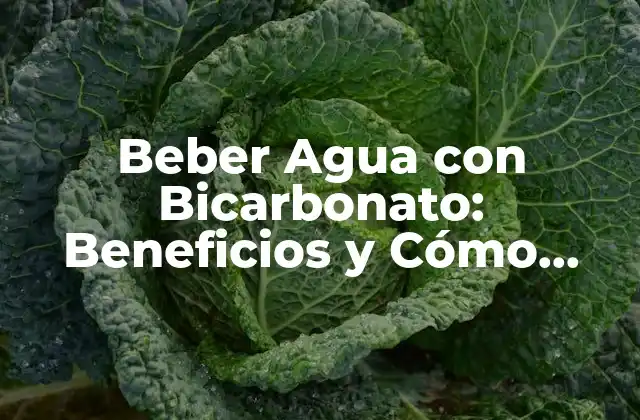 ¿Cuáles son los Beneficios de Beber Agua con Bicarbonato?