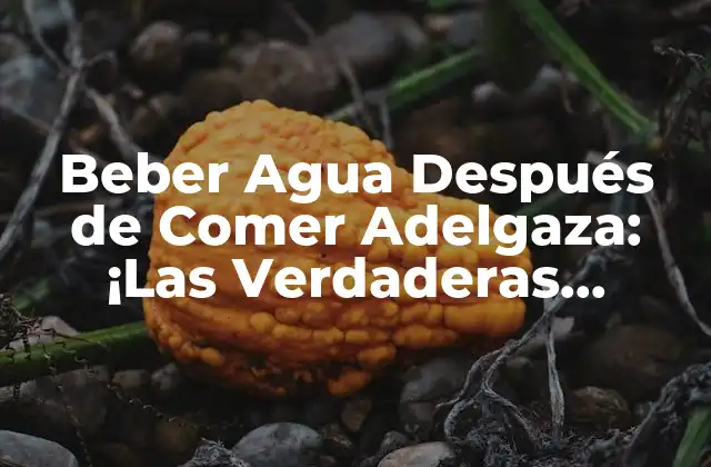 Beber Agua Después de Comer Adelgaza: ¡las Verdaderas Respuestas!