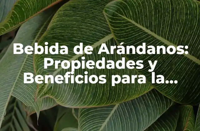 Bebida de Arándanos: Propiedades y Beneficios para la Salud 2 Propiedades Nutricionales de la Bebida de Arándanos
