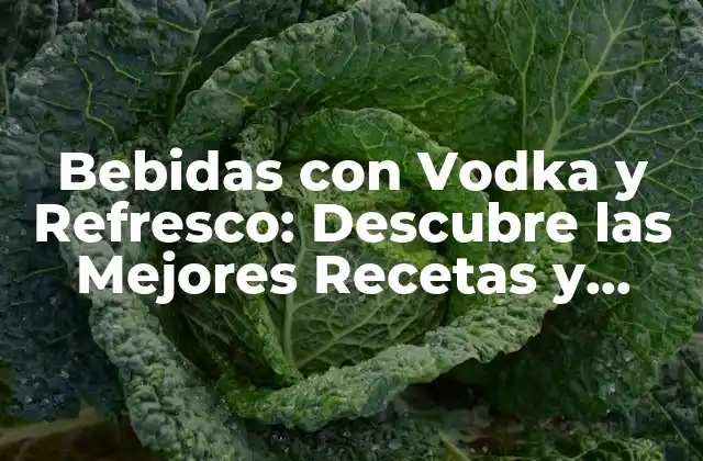Bebidas con Vodka y Refresco: Descubre las Mejores Recetas y Combinaciones