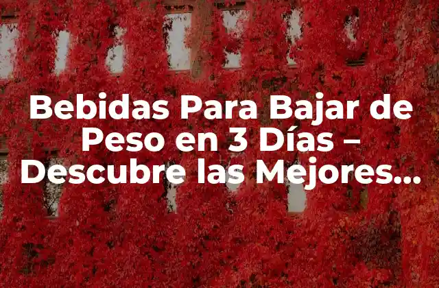 Bebidas para Bajar de Peso en 3 Días – Descubre las Mejores Opciones