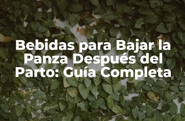 Bebidas para Bajar la Panza Después Del Parto: Guía Completa