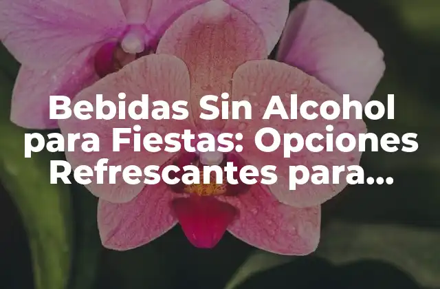 Bebidas sin Alcohol para Fiestas: Opciones Refrescantes para Todos 2 Por qué las Bebidas Sin Alcohol son Importantes en las Fiestas