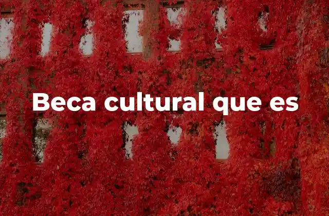 Beca Cultural que es