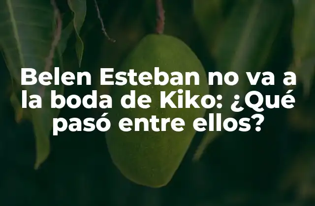 Belen Esteban No Va a la Boda de Kiko: ¿qué Pasó entre Ellos?