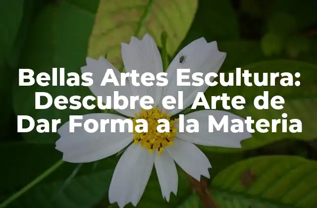 Bellas Artes Escultura: Descubre el Arte de Dar Forma a la Materia