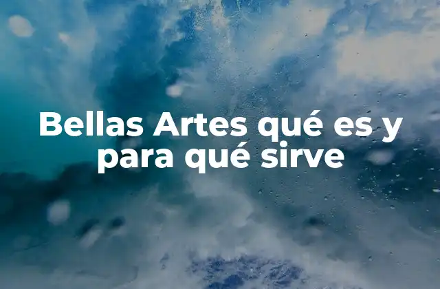 Bellas Artes Qué es y para Qué Sirve