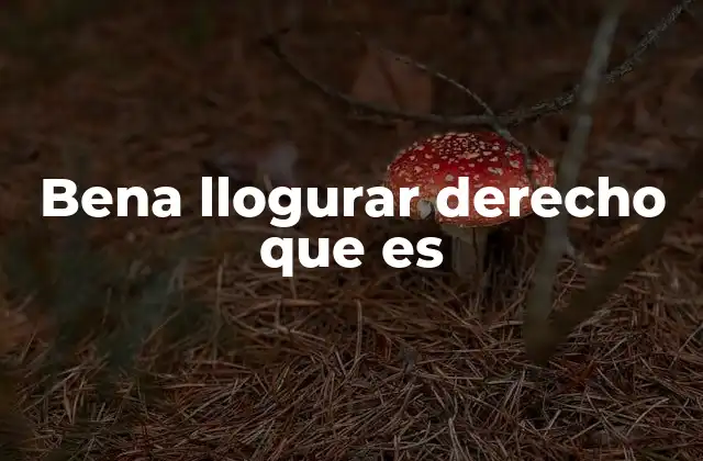 Bena Llogurar Derecho que es