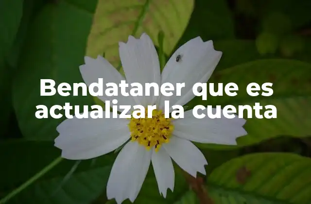 Bendataner que es Actualizar la Cuenta